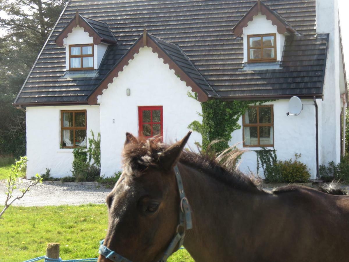 Letterfrack Mountain Farm Cottage On Farm In Village Centre Екстериор снимка